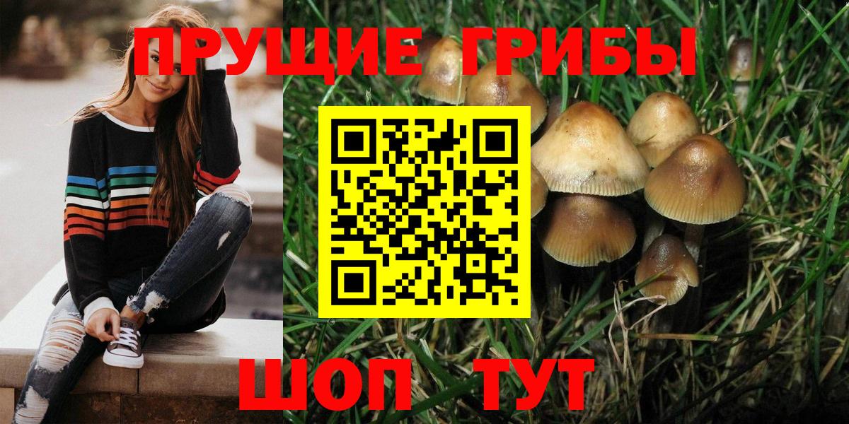 Галлюциногенные грибы Psilocybine cubensis  даркнет сайт  Вход с VPN  Светлоград  Галлюциногенные грибы MAGIC MUSHROOMS 