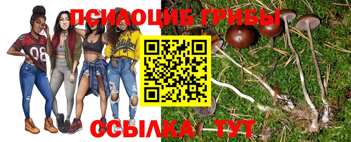 Галлюциногенные грибы прущие грибы Светлоград